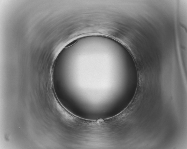 X0000100911524200807011232