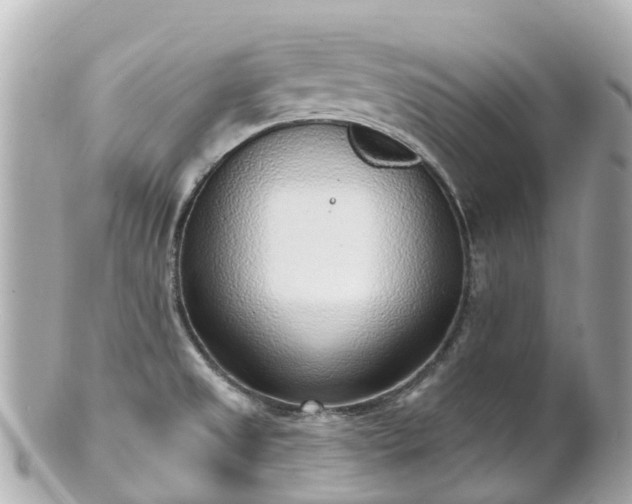 X0000100911525200807011232