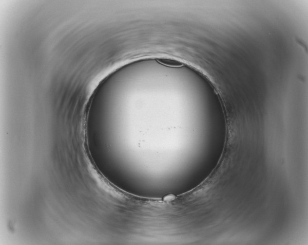 X0000100911526200807011232