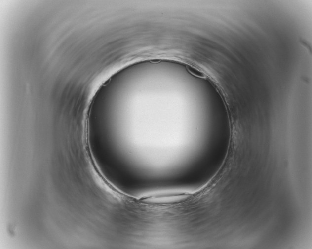 X0000100911528200807011232