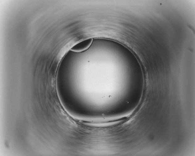 X0000100911529200807011232
