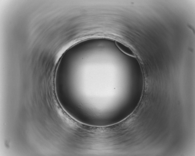 X0000100911530200807011232