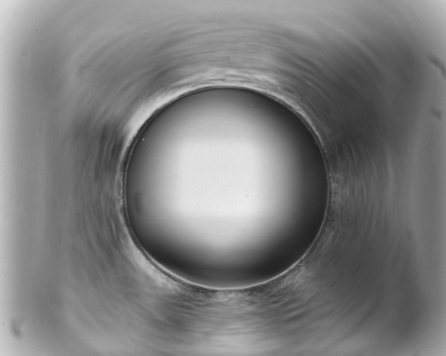 X0000100911531200807011232