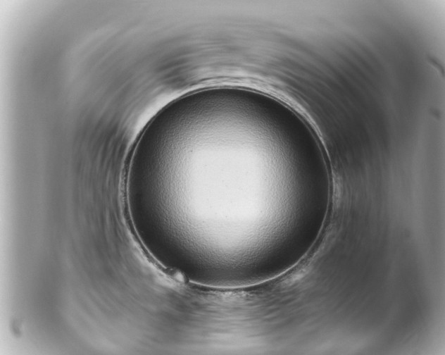 X0000100911533200807011232