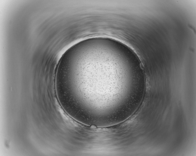X0000100911534200807011232