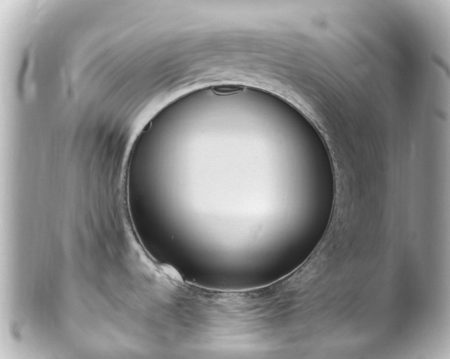 X0000100911536200807011232
