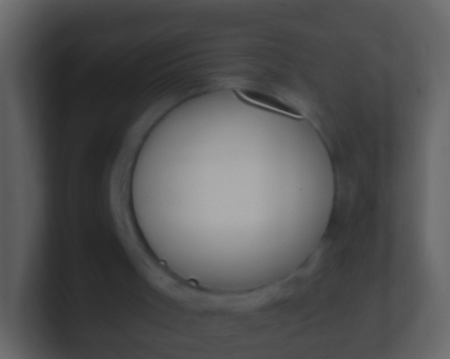 X0000100910001200807081134