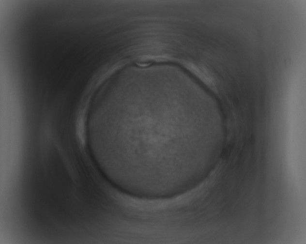 X0000100910002200807081134