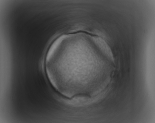 X0000100910003200807081134