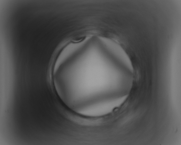 X0000100910004200807081134