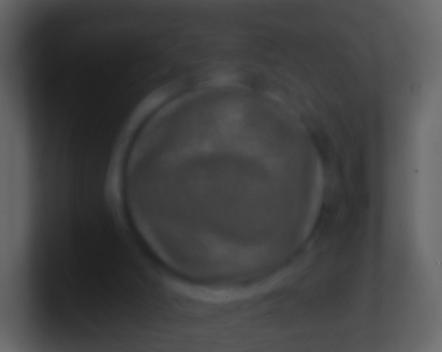 X0000100910006200807081134