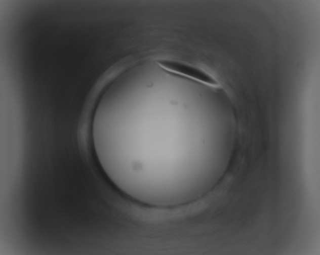 X0000100910007200807081134