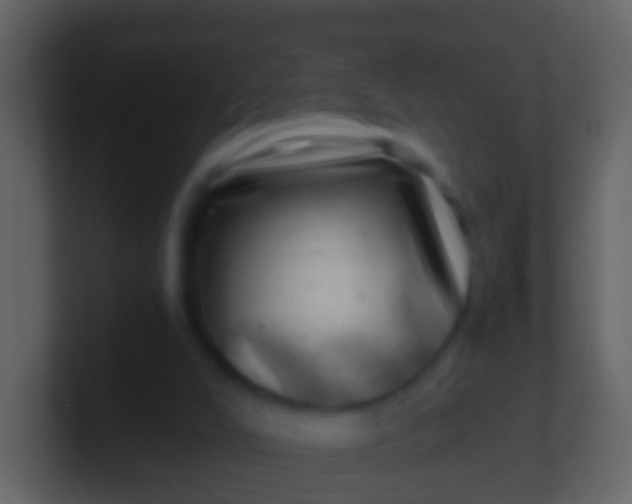 X0000100910008200807081134