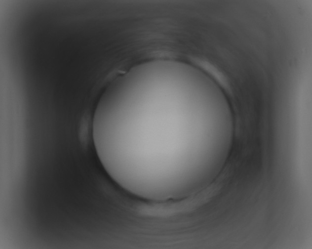 X0000100910009200807081134