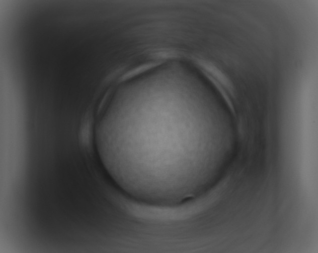 X0000100910010200807081134