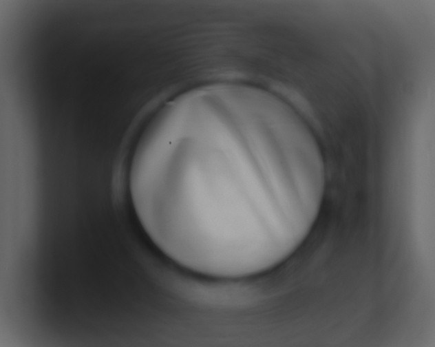 X0000100910012200807081134