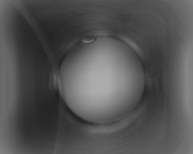 X0000100910013200807081134
