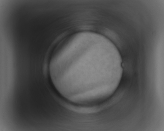X0000100910016200807081134
