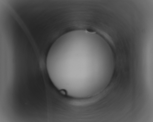 X0000100910017200807081134
