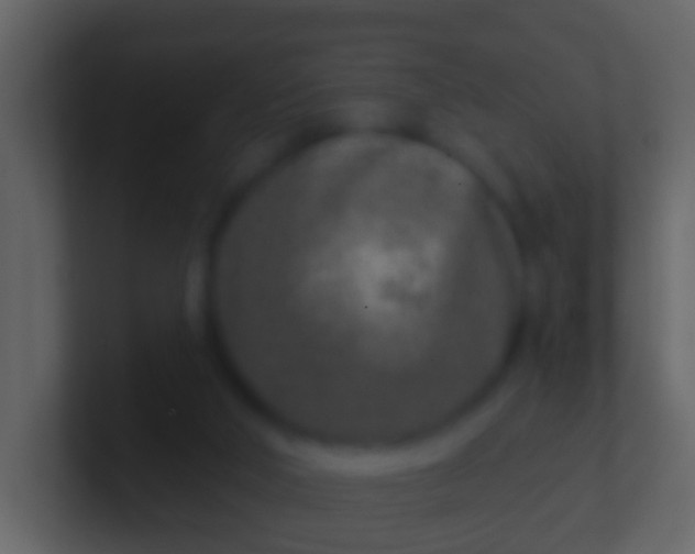X0000100910018200807081134