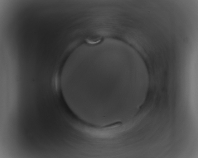 X0000100910019200807081134