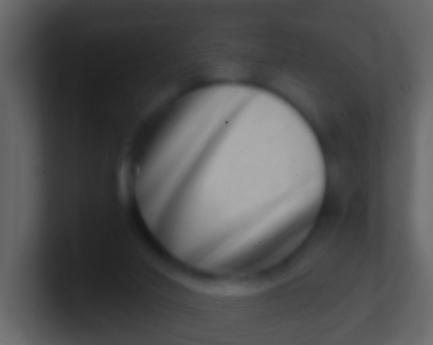 X0000100910020200807081134