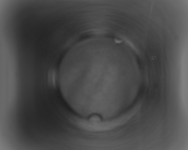 X0000100910022200807081134