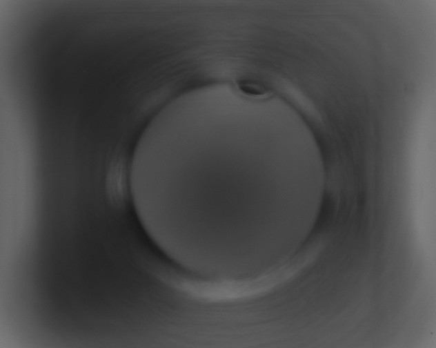 X0000100910023200807081134