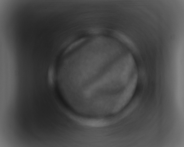 X0000100910024200807081134