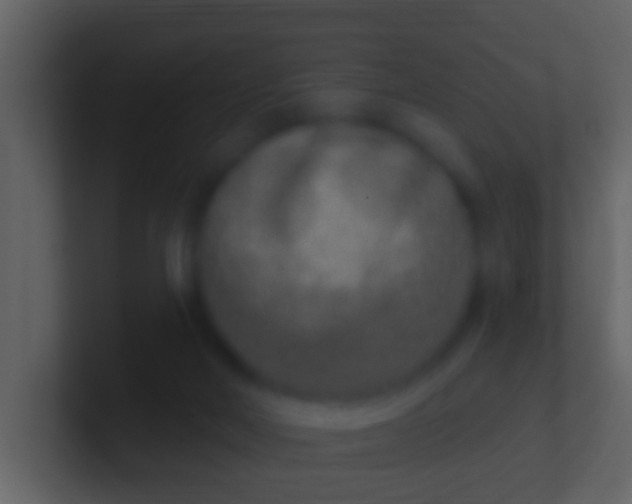X0000100910026200807081134