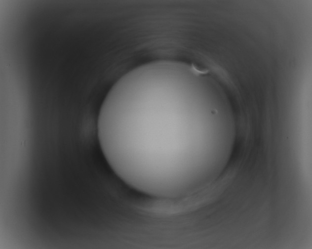 X0000100910029200807081134