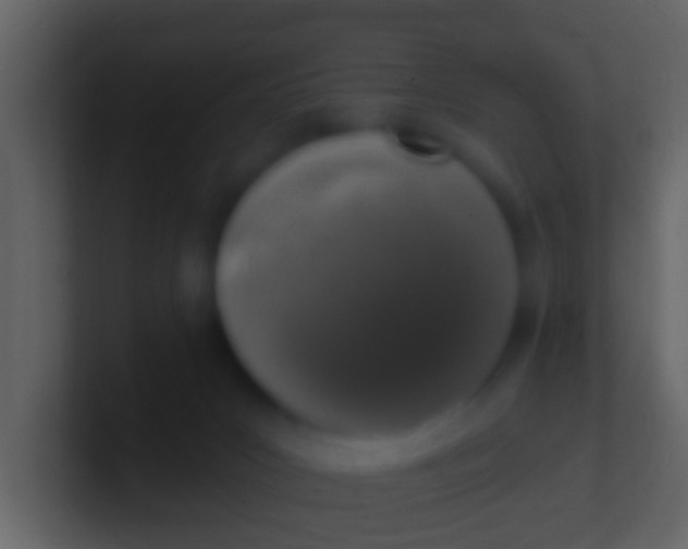 X0000100910031200807081134