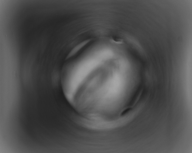 X0000100910034200807081134