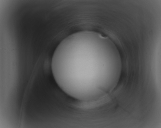 X0000100910037200807081134
