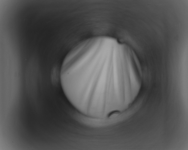 X0000100910038200807081134
