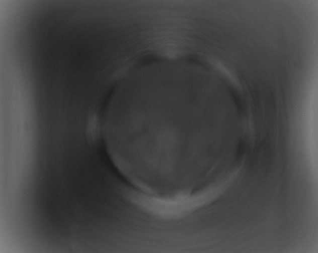 X0000100910043200807081133