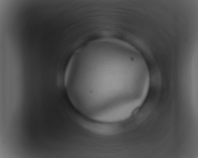 X0000100910044200807081133