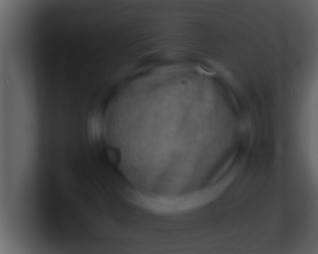 X0000100910046200807081133