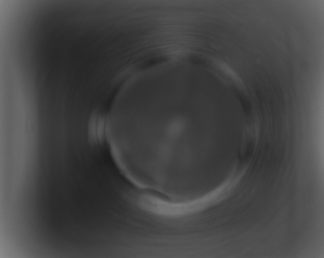 X0000100910047200807081133