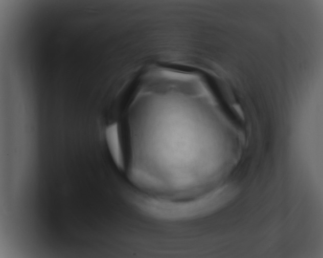 X0000100910048200807081133