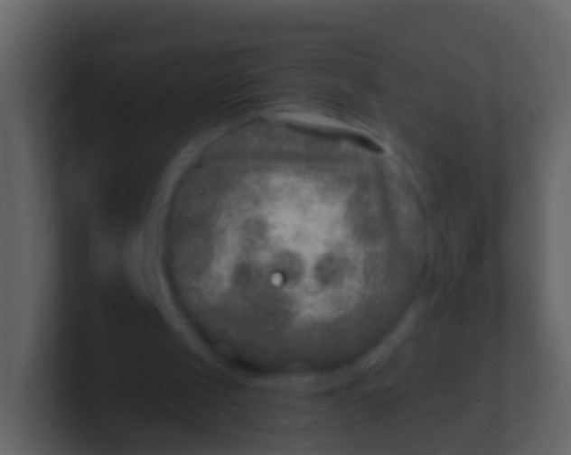 X0000100910049200807081133