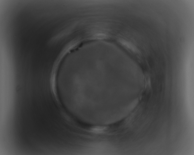 X0000100910051200807081133