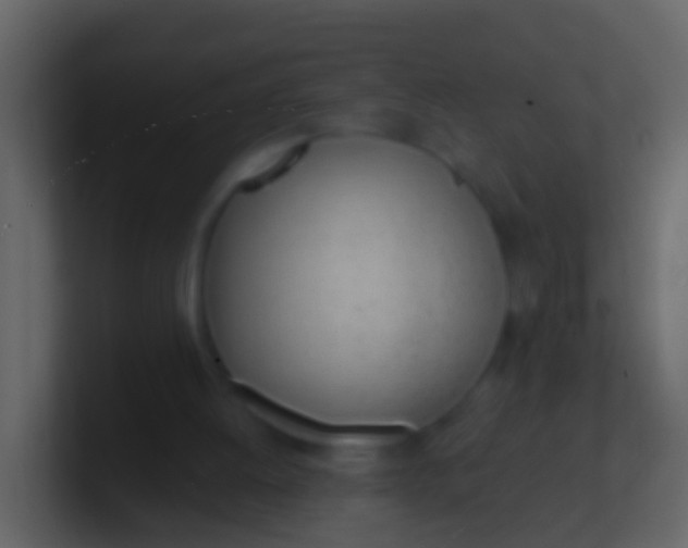 X0000100910052200807081133