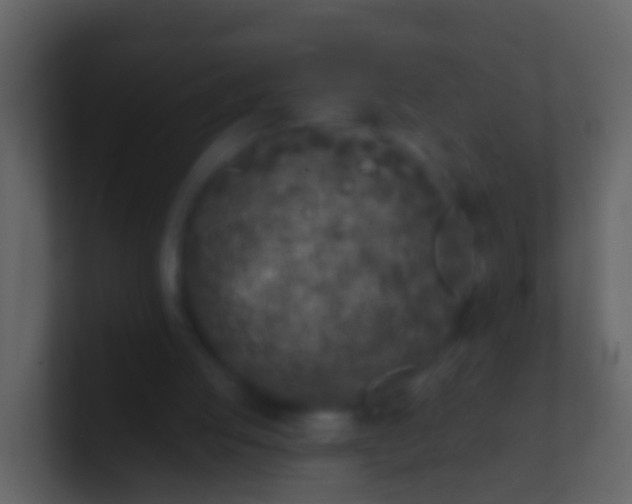 X0000100910053200807081133