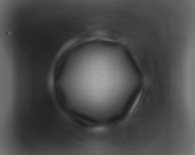 X0000100910054200807081133