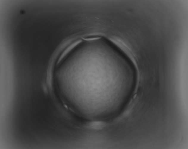 X0000100910055200807081133