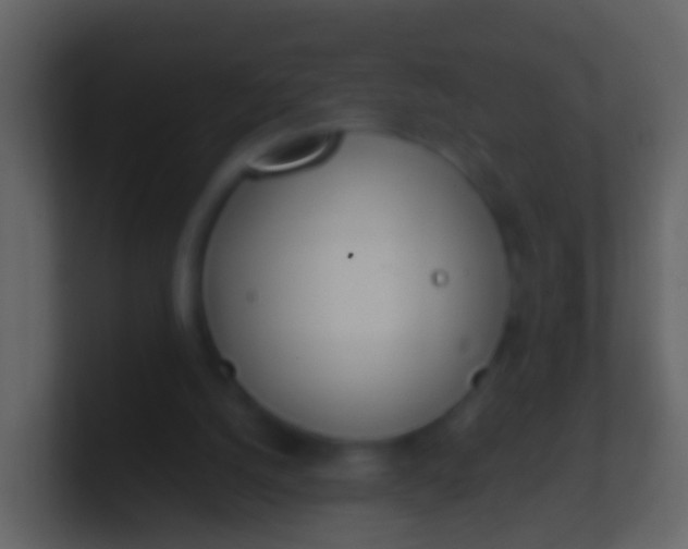 X0000100910056200807081133