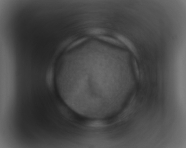 X0000100910058200807081133