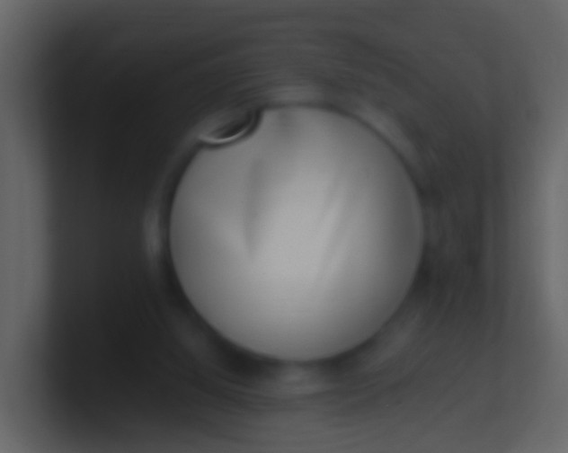 X0000100910060200807081133