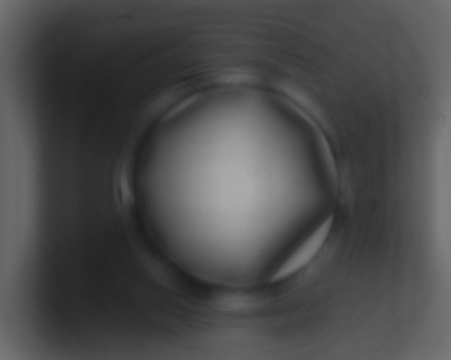 X0000100910062200807081133